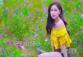 谢安琪-逝去日子(DJ贺仔 写真DJ视频)