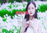 郑晓填-寂寞房间(DJ铁柱 写真DJ视频)