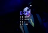 蔡依林-日不落(DJ小嘉 夜店DJ视频)