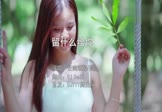 云南烟嗓子-留什么给你(DJDell 写真DJ视频)
