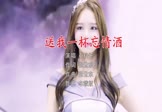 小玟子-送我一杯忘情酒(DJ版 写真DJ视频)
