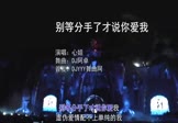 心姐-别等分手了才说你爱我(DJ阿卓 DJ舞曲视频)