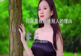 香子-你就是我拒绝别人的理由(DJ版 写真DJ视频)