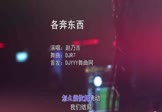 赵乃吉-各奔东西(DJR7 夜店DJ视频)