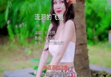孙艺琪-流泪的飞蛾(DJ沈念 写真DJ视频)