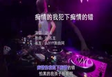 赵洋-痴情的我犯下痴情的错(DJ名龙 打碟DJ视频)