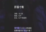 安儿陈-肝肠寸断(DJR7 夜店DJ视频)