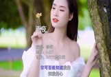 彭筝-雨夜(DJR7 写真DJ视频)