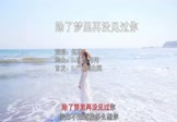 赵洋-除了梦里再没见过你(DJ阳山伟伟 写真DJ视频)