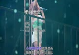 高夫-勇闯天涯(DJ小鱼儿 打碟DJ视频)
