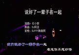 石小群-说好了一辈子在一起(DJ阿圣 夜店DJ视频)