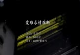 张鑫雨-爱难求情难断(DJ风神 夜店DJ视频)