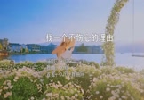 刘恺名-找一个不伤心的理由(DJ版 写真DJ视频)