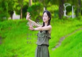 网络-恋曲1990(DJ佳楠 写真DJ视频)