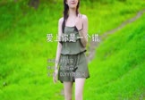 杨培安-爱上你是一个错(DJ细霖 写真DJ视频)