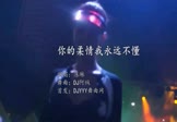 陈琳-你的柔情我永远不懂(DJ阿绒 打碟DJ视频)