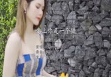 吕口口-爱上你是一个错(DJ凯利 写真DJ视频)