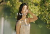 雨鸣-爱与被爱(DJ阿远 写真DJ视频)