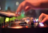 张玮伽-口是心非(DJ细霖 DJ舞曲视频)