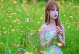 伊格赛听-谪仙(叶里 写真DJ视频)