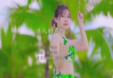 蔡黄汝-迷人的危险(DJ阿衍 打碟DJ视频)