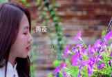 阿杜-撕夜(DJ东杰 写真DJ视频)