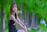 贺子玲-在等风(DJ阿禄 写真DJ视频)