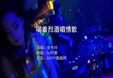 张冬玲-喝着烈酒唱情歌(DJ何鹏 夜店DJ视频)