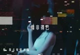 女声-情非得已(DJ版 DJ舞曲视频)