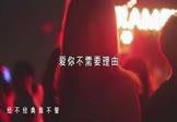 DJ版-爱你不需要理由(DJ舞曲 夜店DJ视频)