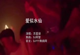 苏星婕-爱似水仙(DJ阿智 夜店DJ视频)