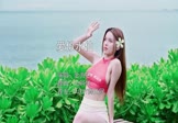 金海心-爱似水仙(DJ阿洋 写真DJ视频)
