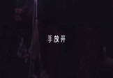 DJ版-手放开(DJ舞曲 夜店DJ视频)
