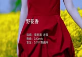 莫斯满-野花香(老猫 写真DJ视频)