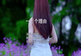 郑源-一万个理由(DJ晓勇 写真DJ视频)