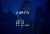 孙露-怎样遇见你(DJ版 夜店DJ视频)