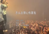 郑源-怎么会狠心伤害我(DJ细霖 夜店DJ视频)