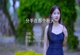 韩可可-分手在那个秋天(DJ细霖 写真DJ视频)