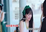 张茜-爱不会变(DJ沈念 车模DJ视频)