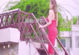 弹棉花的小花-顿啦爱你(DJ文总 写真DJ视频)