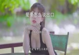 曲肖冰-爱要怎么说出口(DJ阿卓 写真DJ视频)