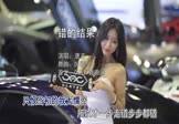 唐古-错的结果(DJ国会 车模DJ视频)