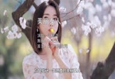 刘嘉亮-美丽女人(DJ光头 车模DJ视频)