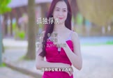 李海霞-孤独俘虏(DJ默涵 写真DJ视频)