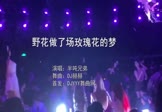 半吨兄弟-野花做了场玫瑰花的梦(DJ赫赫 夜店DJ视频)