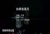花僮-如果我是风(DJR7 夜店DJ视频)