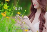 王淋-爱经年(DJQQ 写真DJ视频)