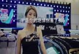 晨熙-是你的绝情伤害了我(DJCandy 车模DJ视频)