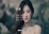 谢有才-苦果(DJCandy 写真DJ视频)