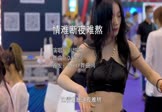 刘悠然-情难断夜难熬(DJ沈念 车模DJ视频)